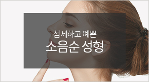 소음순 성형