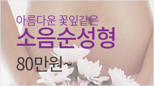 소음순 성형